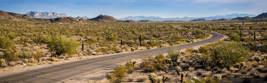 Road Trips from Glendale, US: Exploring the Wonders of Arizona and Beyond